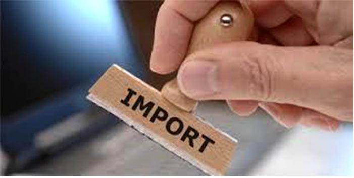 ¿Qué es la DUA de importación del comercio internacional?
