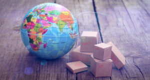 exportar para principiantes