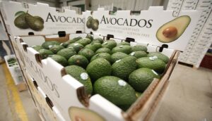 preenfriado-productos-comercio-internacional