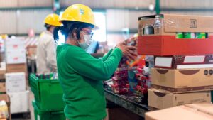 comprar seguros de carga