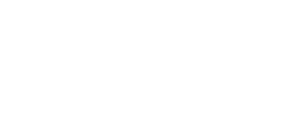 logo-south-express_white